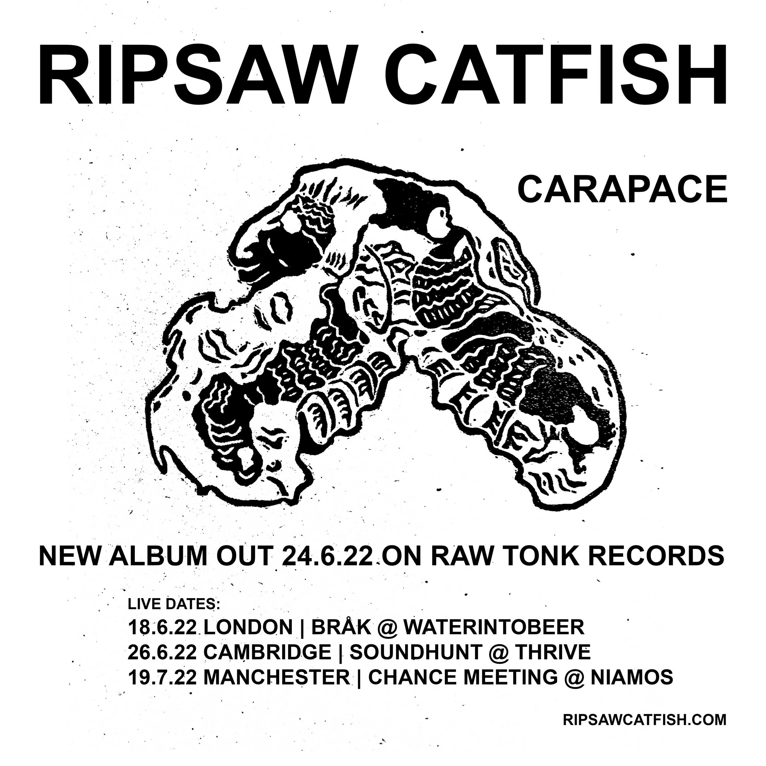Ripsaw Catfish  C A T H R O B O T S